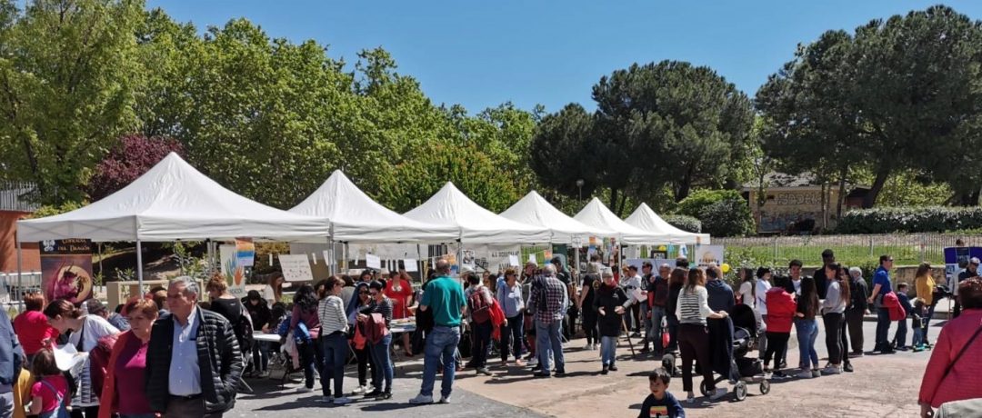 Carpas primera feria