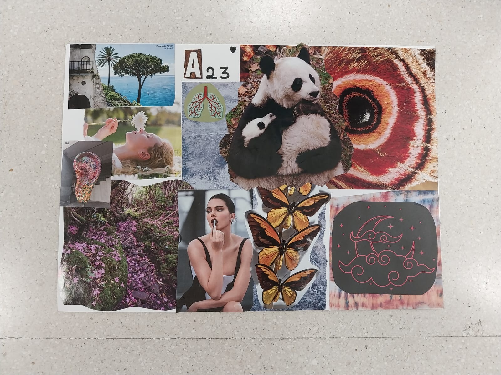 Collage. Arteterapia.